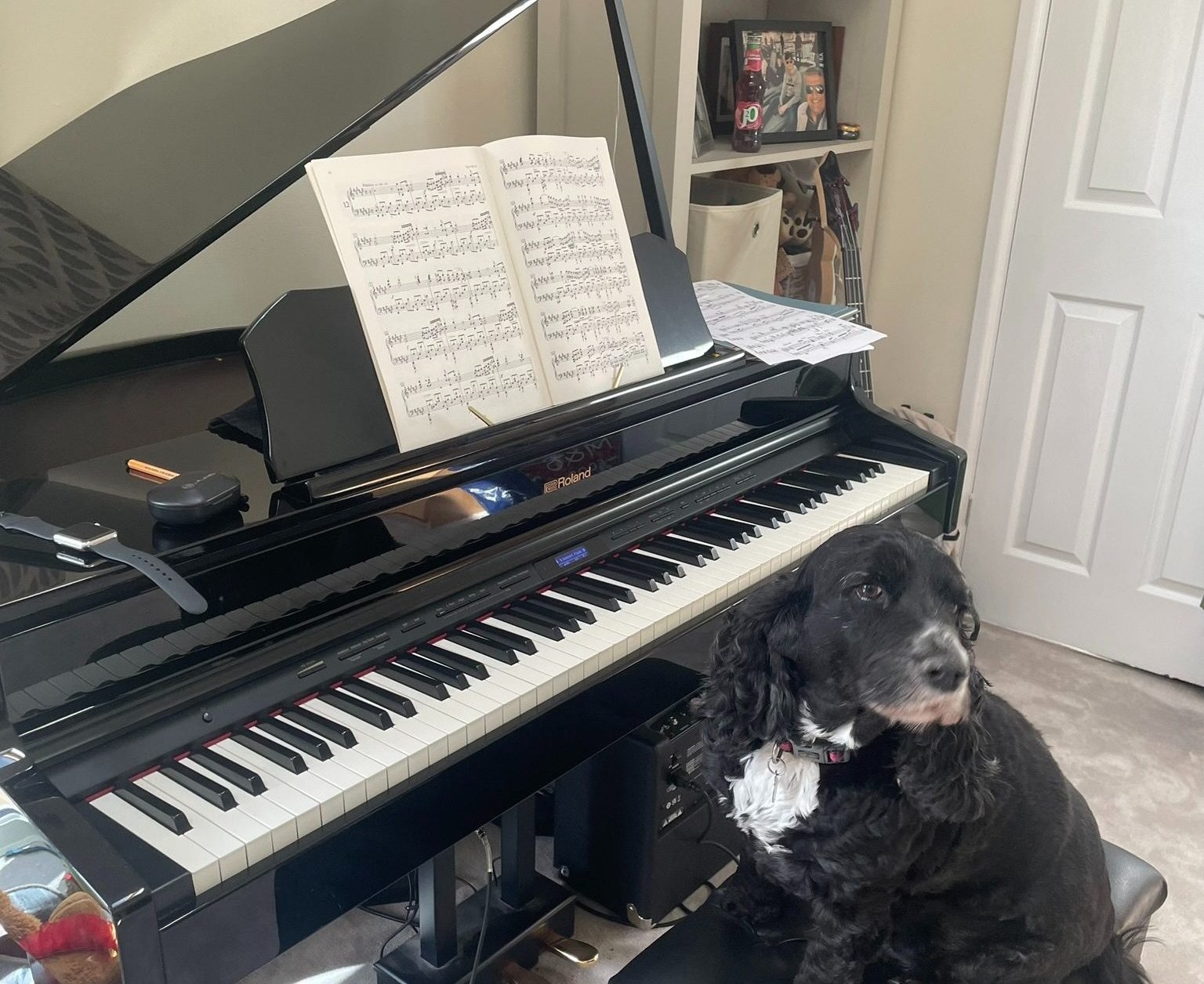 Roland digital baby-grand piano in Ben's living room, with sheet music open on the stand and his dog sitting on the piano bench